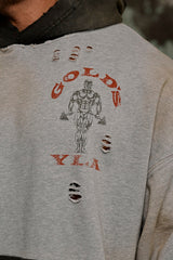 5168 - Gold's Iron Legacy Distress Hoodies